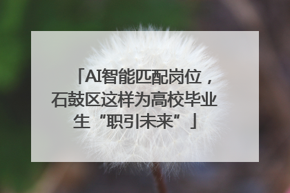 AI智能匹配岗位，石鼓区这样为高校毕业生“职引未来”