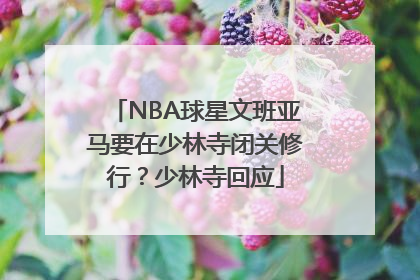 NBA球星文班亚马要在少林寺闭关修行？少林寺回应